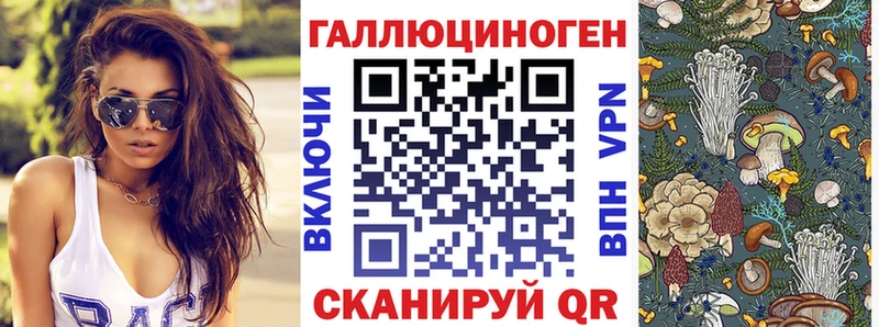 где купить наркоту  Северск  Галлюциногенные грибы GOLDEN TEACHER 